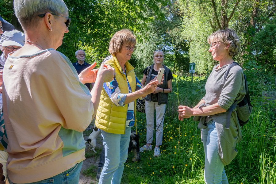 Wildkräuterführung mit Claudia Hoffmann