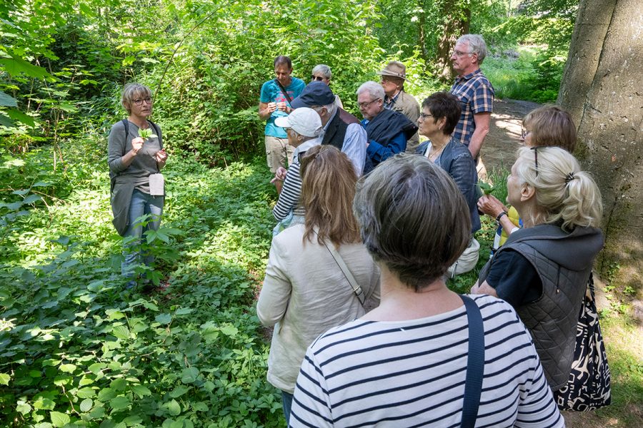 Wildkräuterführung mit Claudia Hoffmann
