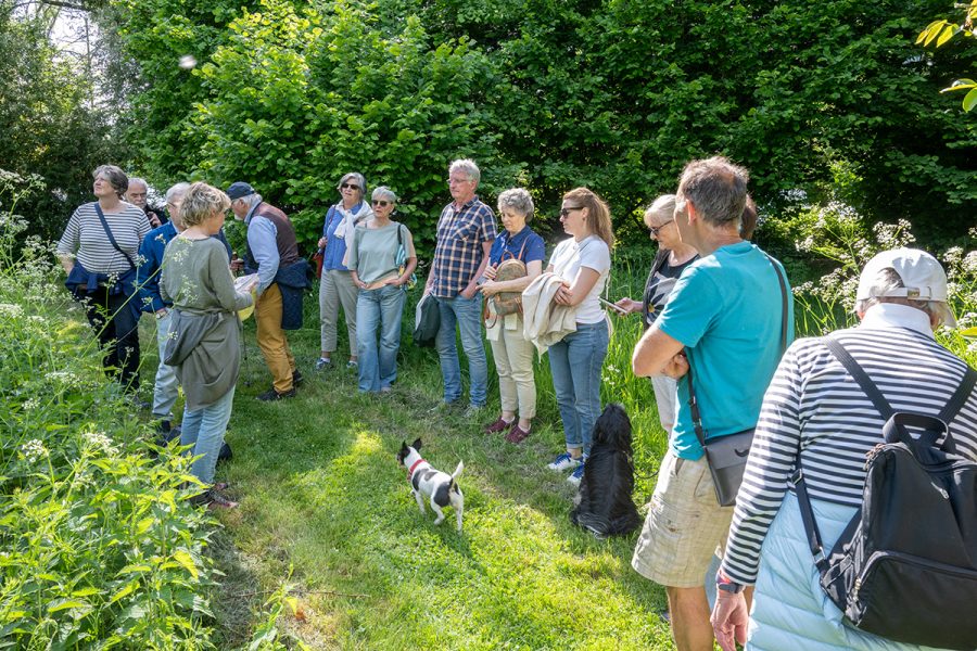 Wildkräuterführung mit Claudia Hoffmann