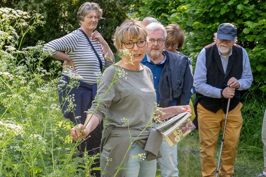 Wildkräuterführung mit Claudia Hoffmann