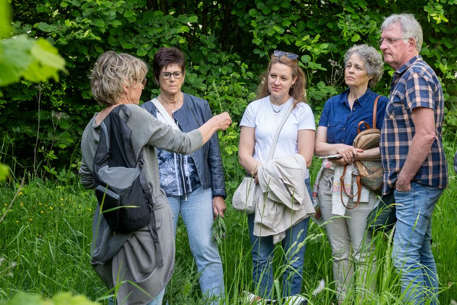 Wildkräuterführung mit Claudia Hoffmann
