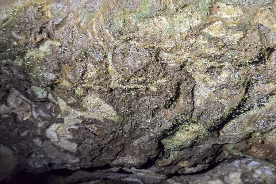 Führung durch die Kluterthöhle