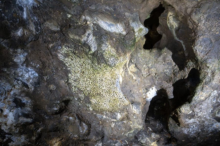 Führung durch die Kluterthöhle