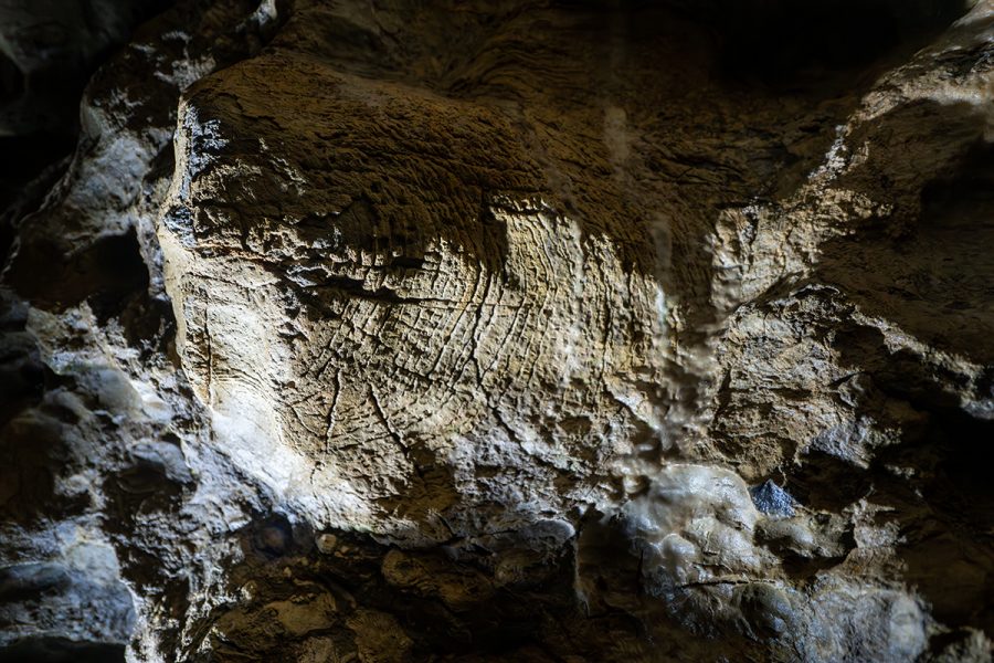 Führung durch die Kluterthöhle